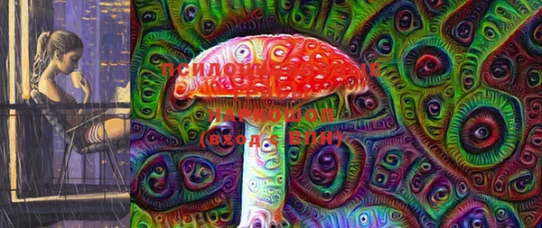 прущие грибы Алзамай
